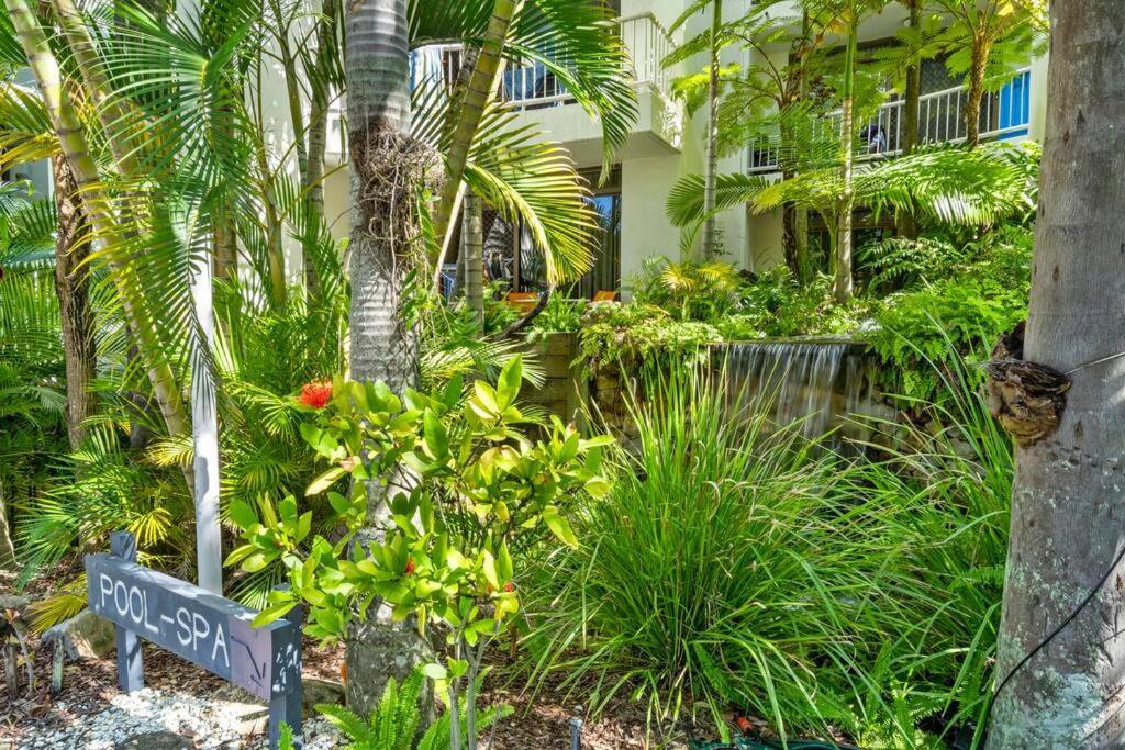 Coco Bella Dream In Surfers Paradise Гоулд Коуст Екстериор снимка