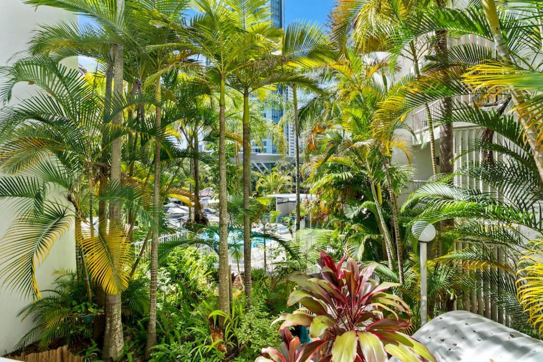 Coco Bella Dream In Surfers Paradise Гоулд Коуст Екстериор снимка